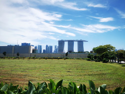One Marina Gardens (D1), Apartment #451775391